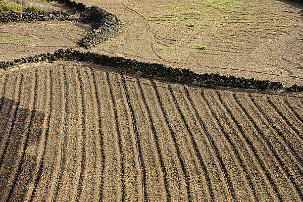 포토 JPG 주간 밭 풍경 사람없음 야외 제주도 농경지 경작 농사 농촌 땅 밭갈이 황토 국내포토 자연요소 농업 한국 농장 흙 시골 파일형식