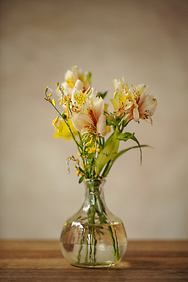 포토 JPG 꽃 유리 실내 사람없음 물 꽃병 오브젝트 비네팅 알스트로에메리아 국내포토 자연요소 식물 재질 촬영기법 내부 파일형식