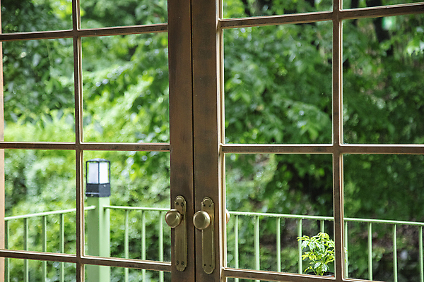 포토 JPG 주간 창문 실내 풍경 사람없음 울타리 고요 발코니 풀 숲 창밖 국내포토 자연요소 식물 내부 담장 파일형식