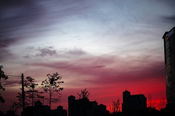 포토 JPG 나무 구름 실루엣 하늘 풍경 사람없음 야외 건물 맑음 일몰 야간 일산 국내포토 자연요소 식물 건축물 날씨 촬영기법 노을 경기도 파일형식