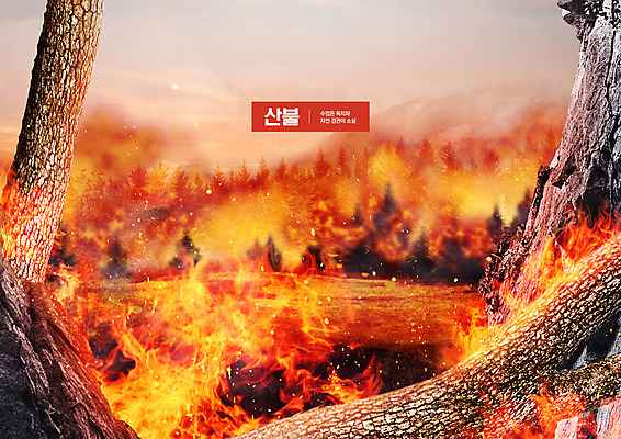 PSD 나무 편집이미지 불 산 사람없음 빨간색 피해 위험 사회이슈 화재 나무토막 산불 불씨 이미지편집 자연요소 식물 컬러 컨셉 사건 파일형식