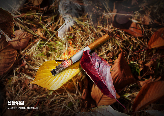 PSD 편집이미지 낙엽 산 사람없음 피해 연기 위험 사회이슈 화재 담배꽁초 산불 담뱃불 불씨 화재예방 이미지편집 컨셉 잎 담배 사건 예방 파일형식