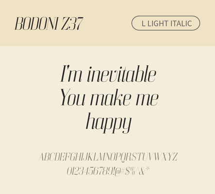 알파벳 영어 폰트 사람없음 OTF 라이트체 낱개폰트 설치폰트 디자인서체 영문폰트 Bodoni_서체 BodoniZ37L_서체 Typodermic_서체 세리프체 이탤릭체 문자 파일형식