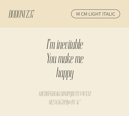 알파벳 영어 폰트 사람없음 OTF 라이트체 낱개폰트 설치폰트 디자인서체 영문폰트 Bodoni_서체 BodoniZ37M_서체 Typodermic_서체 세리프체 이탤릭체 문자 파일형식