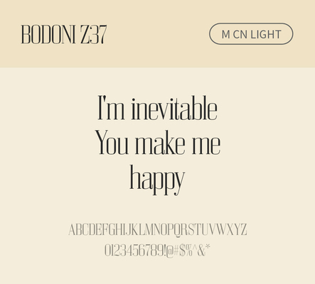 알파벳 영어 폰트 사람없음 OTF 라이트체 낱개폰트 설치폰트 디자인서체 영문폰트 Bodoni_서체 BodoniZ37M_서체 Typodermic_서체 세리프체 문자 파일형식