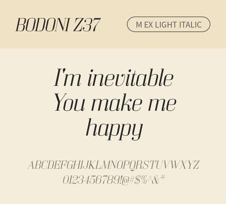 알파벳 영어 폰트 사람없음 OTF 라이트체 낱개폰트 설치폰트 디자인서체 영문폰트 Bodoni_서체 BodoniZ37M_서체 Typodermic_서체 세리프체 이탤릭체 문자 파일형식