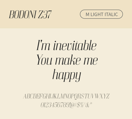 알파벳 영어 폰트 사람없음 OTF 라이트체 낱개폰트 설치폰트 디자인서체 영문폰트 Bodoni_서체 BodoniZ37M_서체 Typodermic_서체 세리프체 이탤릭체 문자 파일형식