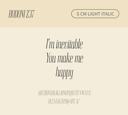 알파벳 영어 폰트 사람없음 OTF 라이트체 낱개폰트 설치폰트 디자인서체 영문폰트 Bodoni_서체 BodoniZ37S_서체 Typodermic_서체 세리프체 이탤릭체 문자 파일형식