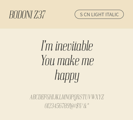 알파벳 영어 폰트 사람없음 OTF 라이트체 낱개폰트 설치폰트 디자인서체 영문폰트 Bodoni_서체 BodoniZ37S_서체 Typodermic_서체 세리프체 이탤릭체 문자 파일형식