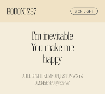 알파벳 영어 폰트 사람없음 OTF 라이트체 낱개폰트 설치폰트 디자인서체 영문폰트 Bodoni_서체 BodoniZ37S_서체 Typodermic_서체 세리프체 문자 파일형식