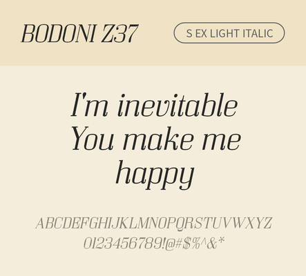 알파벳 영어 폰트 사람없음 OTF 라이트체 낱개폰트 설치폰트 디자인서체 영문폰트 Bodoni_서체 BodoniZ37S_서체 Typodermic_서체 세리프체 이탤릭체 문자 파일형식