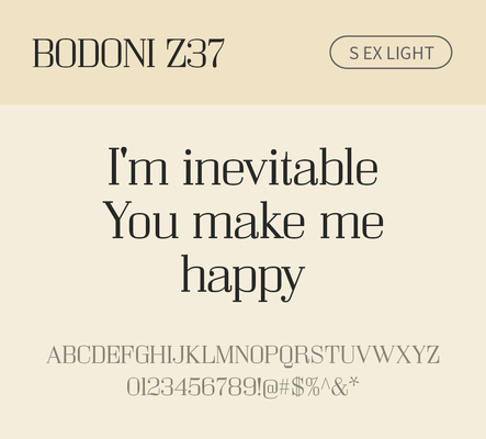 알파벳 영어 폰트 사람없음 OTF 라이트체 낱개폰트 설치폰트 디자인서체 영문폰트 Bodoni_서체 BodoniZ37S_서체 Typodermic_서체 세리프체 문자 파일형식