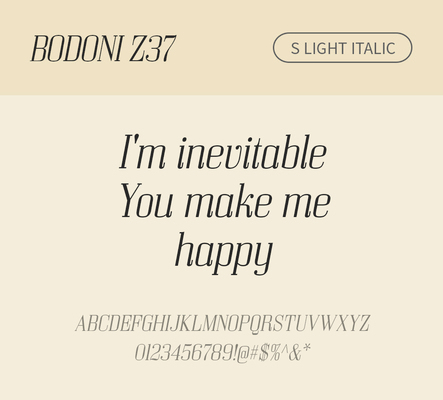 알파벳 영어 폰트 사람없음 OTF 라이트체 낱개폰트 설치폰트 디자인서체 영문폰트 Bodoni_서체 BodoniZ37S_서체 Typodermic_서체 세리프체 이탤릭체 문자 파일형식