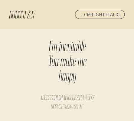 알파벳 영어 폰트 사람없음 OTF 라이트체 낱개폰트 설치폰트 디자인서체 영문폰트 Bodoni_서체 BodoniZ37L_서체 Typodermic_서체 세리프체 이탤릭체 문자 파일형식