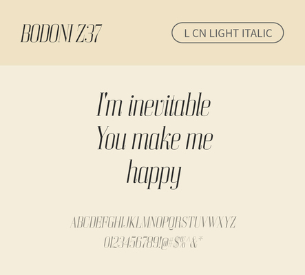 알파벳 영어 폰트 사람없음 OTF 라이트체 낱개폰트 설치폰트 디자인서체 영문폰트 Bodoni_서체 BodoniZ37L_서체 Typodermic_서체 세리프체 이탤릭체 문자 파일형식