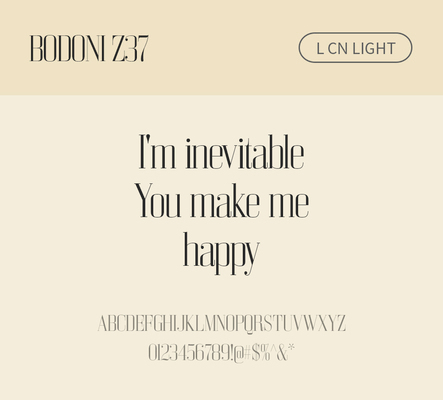 알파벳 영어 폰트 사람없음 OTF 라이트체 낱개폰트 설치폰트 디자인서체 영문폰트 Bodoni_서체 BodoniZ37L_서체 Typodermic_서체 세리프체 문자 파일형식