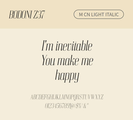 알파벳 영어 폰트 사람없음 OTF 라이트체 낱개폰트 설치폰트 디자인서체 영문폰트 Bodoni_서체 BodoniZ37M_서체 Typodermic_서체 세리프체 이탤릭체 문자 파일형식