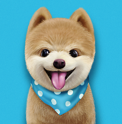 PSD 한마리 응시 반려견 일러스트 웃음 사람없음 파란색 반려동물 귀여움 스카프 개 강아지 메롱 증명사진 포메라니안 국내일러스트 동물 1 시선 컬러 컨셉 포유류 모션 표정 목도리 파일형식