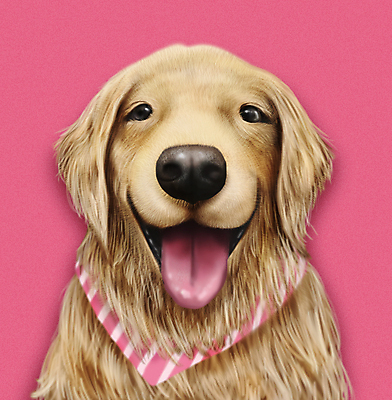 PSD 한마리 응시 반려견 분홍색 일러스트 웃음 사람없음 반려동물 귀여움 스카프 개 골든리트리버 강아지 메롱 증명사진 국내일러스트 동물 1 시선 컬러 컨셉 포유류 모션 표정 목도리 리트리버 파일형식