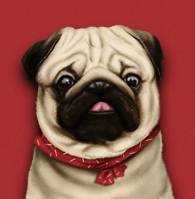 PSD 한마리 응시 반려견 일러스트 사람없음 빨간색 반려동물 귀여움 스카프 개 강아지 메롱 불독 증명사진 퍼그 국내일러스트 동물 1 시선 컬러 컨셉 포유류 모션 목도리 파일형식