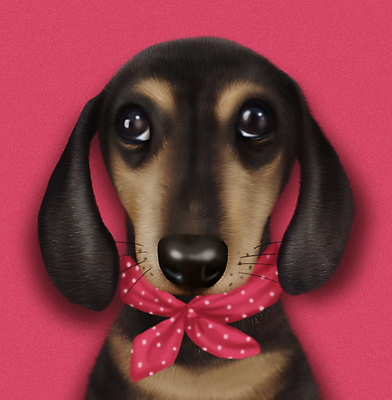 PSD 한마리 응시 반려견 분홍색 일러스트 사람없음 반려동물 귀여움 스카프 개 강아지 닥스훈트 증명사진 국내일러스트 동물 1 시선 컬러 컨셉 포유류 목도리 파일형식