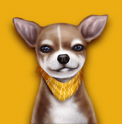 PSD 한마리 응시 반려견 일러스트 미소 사람없음 반려동물 노란색 귀여움 스카프 개 강아지 치와와 증명사진 국내일러스트 동물 1 시선 컬러 컨셉 포유류 표정 목도리 파일형식