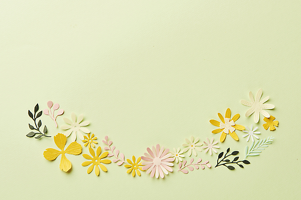 포토 JPG 스튜디오촬영 종이 잎 실내 사람없음 하이앵글 페이퍼아트 오브젝트 종이꽃 카피스페이스 초록배경 국내포토 식물 꽃 뷰포인트 백그라운드 내부 초록색 공백 파일형식