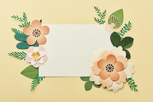 포토 JPG 스튜디오촬영 종이 잎 사각프레임 실내 사람없음 하이앵글 페이퍼아트 오브젝트 노란배경 종이꽃 카피스페이스 국내포토 식물 꽃 뷰포인트 백그라운드 프레임 내부 노란색 사각형 공백 파일형식