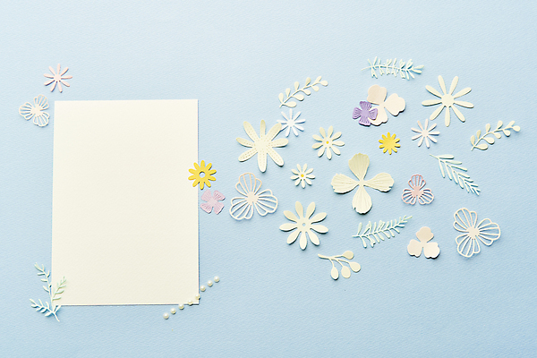 포토 JPG 스튜디오촬영 종이 잎 사각프레임 실내 사람없음 하이앵글 페이퍼아트 오브젝트 파란배경 종이꽃 카피스페이스 국내포토 식물 꽃 뷰포인트 백그라운드 프레임 내부 파란색 사각형 공백 파일형식