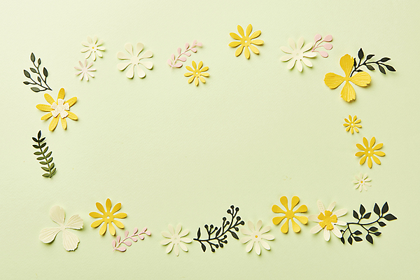 포토 JPG 스튜디오촬영 종이 잎 프레임 실내 사람없음 하이앵글 페이퍼아트 오브젝트 종이꽃 카피스페이스 초록배경 국내포토 식물 꽃 뷰포인트 백그라운드 내부 초록색 공백 파일형식
