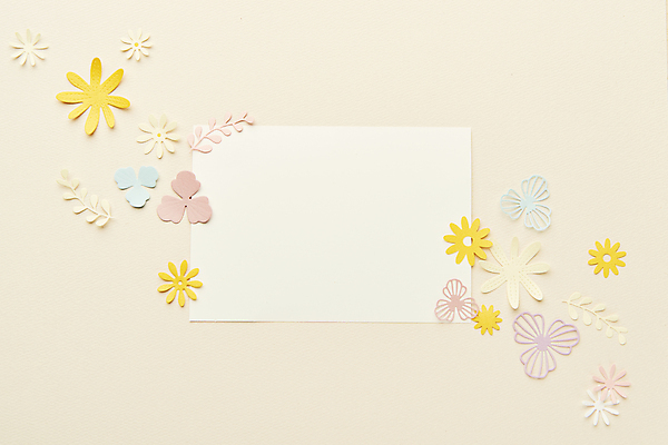 포토 JPG 스튜디오촬영 종이 잎 사각프레임 실내 사람없음 하이앵글 페이퍼아트 오브젝트 종이꽃 베이지색배경 카피스페이스 국내포토 식물 꽃 뷰포인트 백그라운드 프레임 내부 사각형 공백 베이지색 파일형식