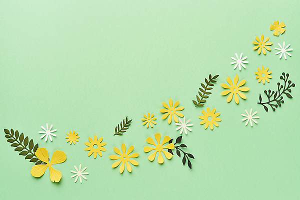 포토 JPG 스튜디오촬영 종이 잎 실내 사람없음 하이앵글 페이퍼아트 오브젝트 종이꽃 초록배경 국내포토 식물 꽃 뷰포인트 백그라운드 내부 초록색 파일형식