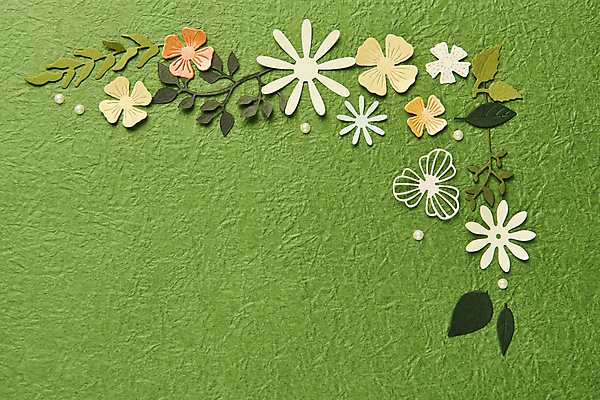 포토 JPG 스튜디오촬영 종이 잎 실내 사람없음 하이앵글 페이퍼아트 오브젝트 종이꽃 카피스페이스 초록배경 국내포토 식물 꽃 뷰포인트 백그라운드 내부 초록색 공백 파일형식