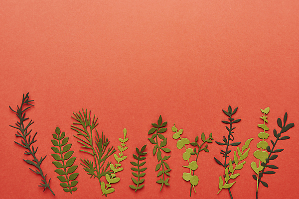 포토 JPG 스튜디오촬영 종이 잎 실내 사람없음 하이앵글 페이퍼아트 오브젝트 나뭇잎모양 빨간배경 카피스페이스 국내포토 모양 식물 뷰포인트 백그라운드 나뭇잎 내부 빨간색 공백 파일형식