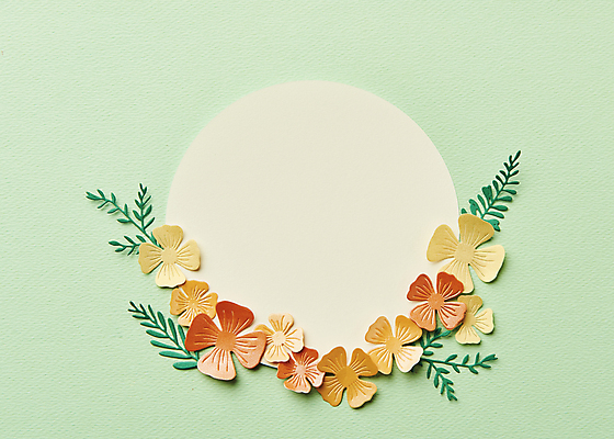 포토 JPG 스튜디오촬영 종이 잎 실내 사람없음 하이앵글 페이퍼아트 오브젝트 원형프레임 종이꽃 카피스페이스 초록배경 국내포토 식물 꽃 뷰포인트 백그라운드 프레임 내부 초록색 공백 원형 파일형식