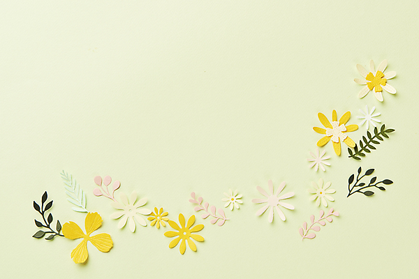 포토 JPG 스튜디오촬영 종이 잎 실내 사람없음 하이앵글 페이퍼아트 오브젝트 종이꽃 카피스페이스 초록배경 국내포토 식물 꽃 뷰포인트 백그라운드 내부 초록색 공백 파일형식