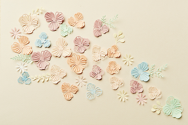 포토 JPG 스튜디오촬영 종이 잎 실내 사람없음 하이앵글 페이퍼아트 오브젝트 종이꽃 베이지색배경 국내포토 식물 꽃 뷰포인트 백그라운드 내부 베이지색 파일형식