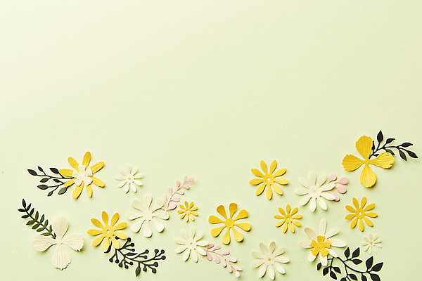 포토 JPG 스튜디오촬영 종이 잎 실내 사람없음 하이앵글 페이퍼아트 오브젝트 종이꽃 카피스페이스 초록배경 국내포토 식물 꽃 뷰포인트 백그라운드 내부 초록색 공백 파일형식