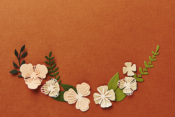 포토 JPG 스튜디오촬영 종이 잎 실내 사람없음 하이앵글 페이퍼아트 오브젝트 빨간배경 종이꽃 카피스페이스 국내포토 식물 꽃 뷰포인트 백그라운드 내부 빨간색 공백 파일형식