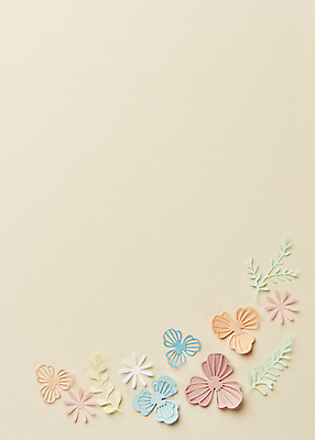 포토 JPG 스튜디오촬영 종이 잎 실내 사람없음 하이앵글 페이퍼아트 오브젝트 종이꽃 베이지색배경 카피스페이스 국내포토 식물 꽃 뷰포인트 백그라운드 내부 공백 베이지색 파일형식