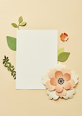 포토 JPG 스튜디오촬영 종이 잎 사각프레임 실내 사람없음 하이앵글 페이퍼아트 오브젝트 노란배경 종이꽃 카피스페이스 국내포토 식물 꽃 뷰포인트 백그라운드 프레임 내부 노란색 사각형 공백 파일형식