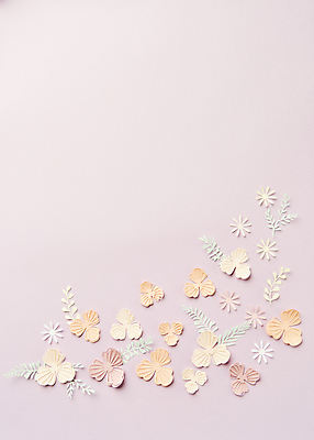 포토 JPG 스튜디오촬영 종이 잎 실내 사람없음 하이앵글 페이퍼아트 오브젝트 종이꽃 카피스페이스 분홍색배경 국내포토 식물 꽃 뷰포인트 분홍색 백그라운드 내부 공백 파일형식