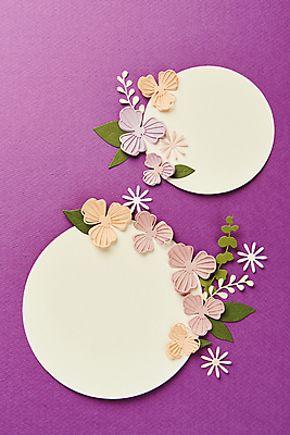 포토 JPG 스튜디오촬영 종이 잎 실내 사람없음 하이앵글 페이퍼아트 오브젝트 원형프레임 보라색배경 종이꽃 카피스페이스 국내포토 식물 꽃 뷰포인트 백그라운드 프레임 내부 보라색 공백 원형 파일형식