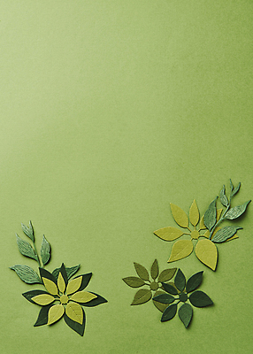 포토 JPG 스튜디오촬영 종이 잎 실내 사람없음 하이앵글 페이퍼아트 오브젝트 나뭇잎모양 카피스페이스 초록배경 국내포토 모양 식물 뷰포인트 백그라운드 나뭇잎 내부 초록색 공백 파일형식