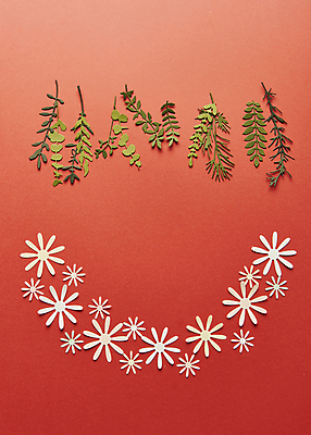 포토 JPG 스튜디오촬영 종이 잎 실내 사람없음 하이앵글 페이퍼아트 오브젝트 빨간배경 종이꽃 카피스페이스 국내포토 식물 꽃 뷰포인트 백그라운드 내부 빨간색 공백 파일형식