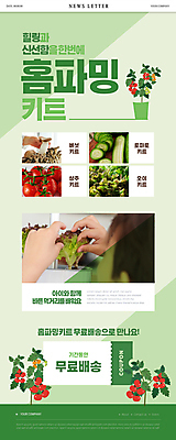 PSD 템플릿 손 남자 ZIP 화분 어린이 웹템플릿 잎 토마토 오이 한명 이벤트 소년 신체부위 초록색 연두색 버섯 한국인 상추 쿠폰 뉴스레터 소년한명만 무료배송 홈파밍 이미지템플릿 식물 1 컬러 채소 사람 동양인 농사 배송 무료 남자한명만 소년만 파일형식