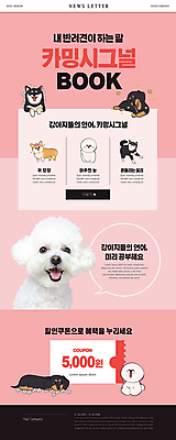 PSD 템플릿 꽃 ZIP 반려견 분홍색 웹템플릿 말풍선 여러마리 사람없음 강아지 닥스훈트 쿠폰 뉴스레터 애견간식 웰시코기 펫케어 시바견 비숑프리제 카밍시그널 이미지템플릿 식물 컬러 다수 관리 반려동물 개 의사소통 파일형식