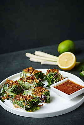 포토 JPG 접시 검은배경 사람없음 소스 레몬 종지 라임 동남아음식 레몬그라스 스프링롤 태국음식 로컬푸드 국내포토 그릇 식기 음식 백그라운드 과일 농산물 중식 검은색 양념 동양음식 파일형식