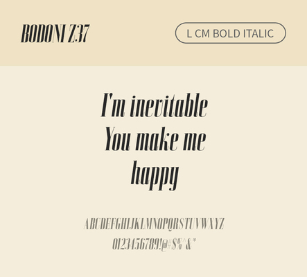 알파벳 영어 폰트 사람없음 OTF 볼드체 낱개폰트 설치폰트 디자인서체 영문폰트 Bodoni_서체 BodoniZ37L_서체 Typodermic_서체 세리프체 이탤릭체 문자 파일형식