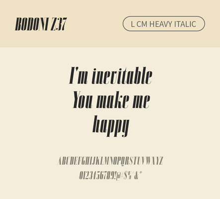 알파벳 영어 폰트 사람없음 OTF 낱개폰트 설치폰트 디자인서체 영문폰트 Bodoni_서체 BodoniZ37L_서체 Typodermic_서체 세리프체 이탤릭체 헤비체 문자 파일형식